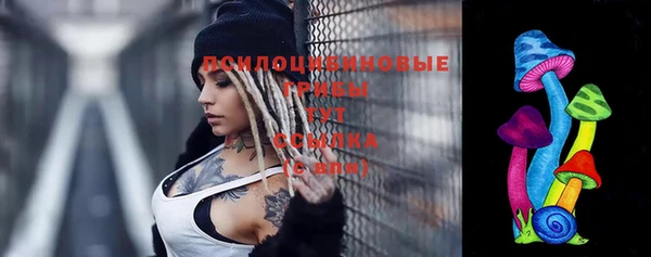 крисы Богданович