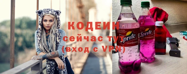 mix Богородицк